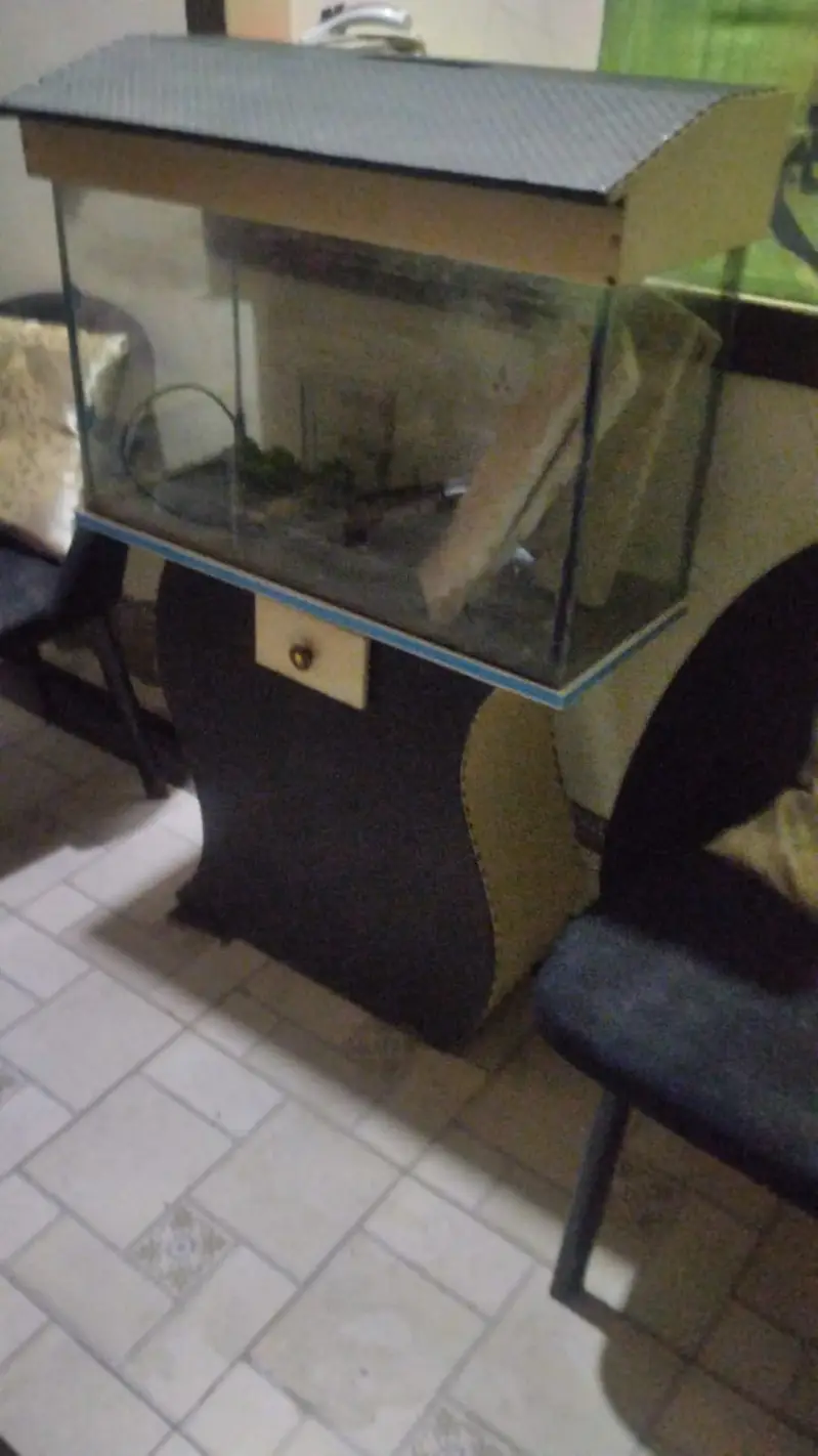 Aquarium Setup 20x12x16 +Stand+Rocks+ Plants – Low Price (Minor Leak) — photo 5