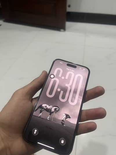 Apple iPhone 14 Pro Max pta