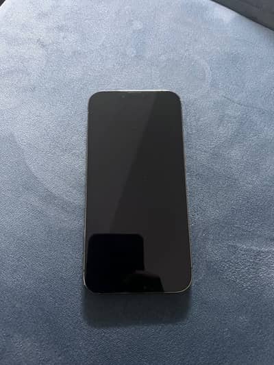 Apple iPhone 13 Pro Max jv