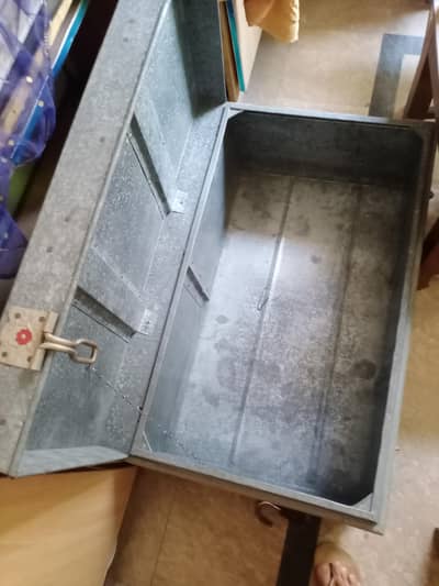 trunk small petti