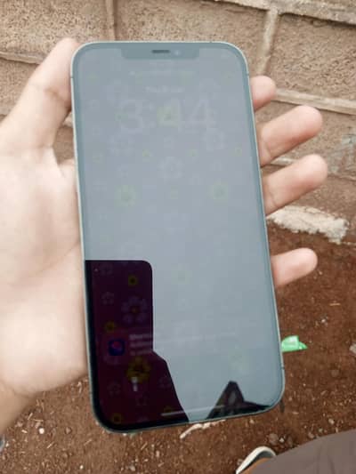 Apple iPhone 12 Pro Max