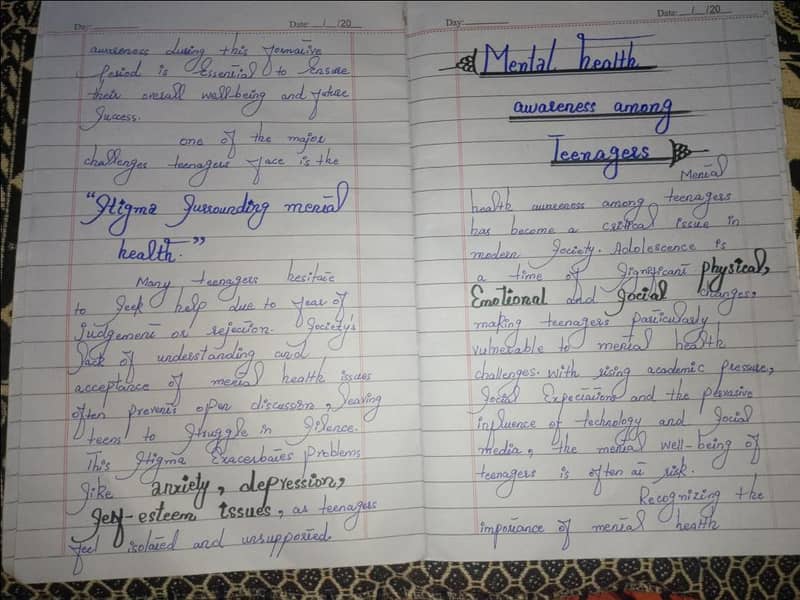 assignment writer 0