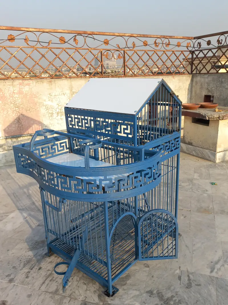 Birds Cage — photo 5
