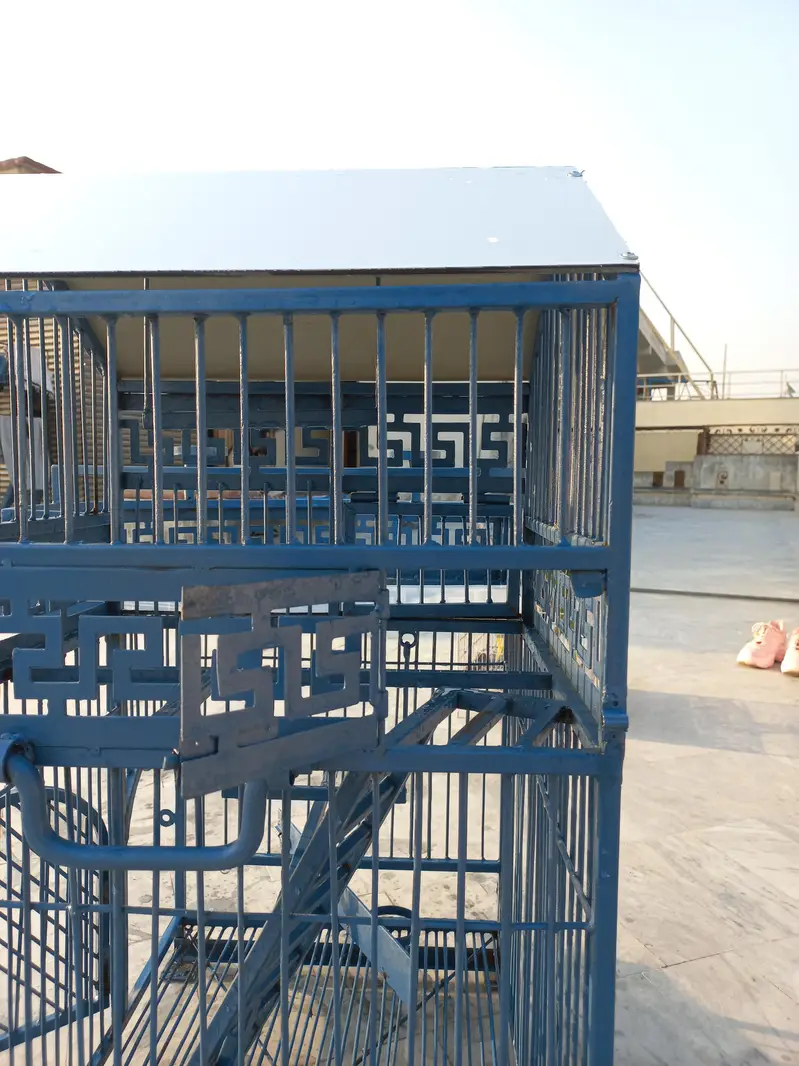 Birds Cage — photo 9