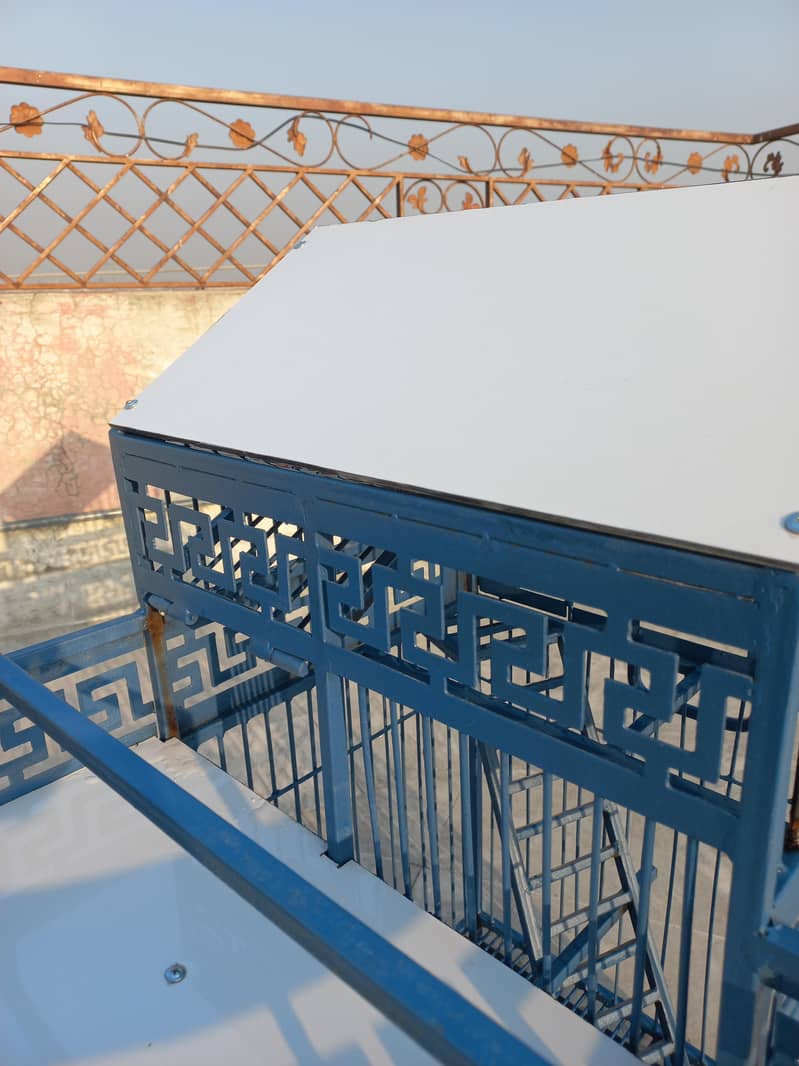 Birds Cage 9