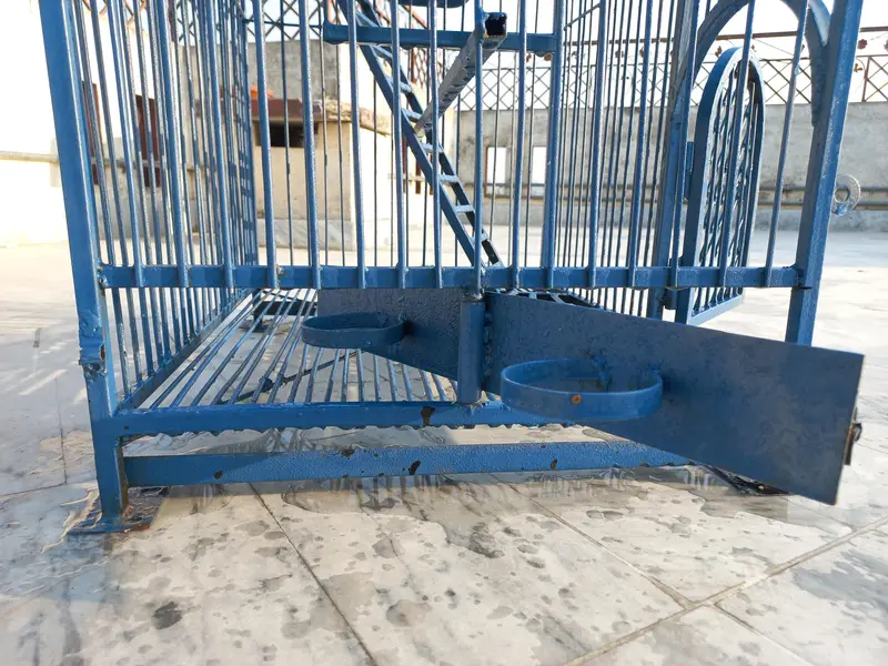 Birds Cage — photo 11