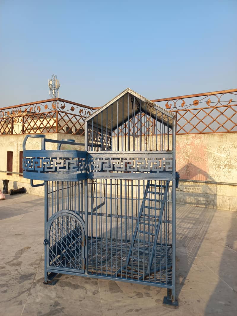Birds Cage 12