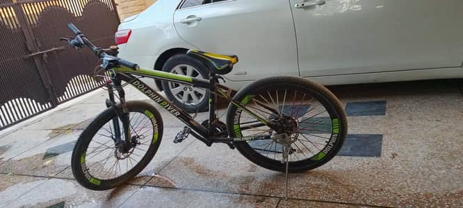 Dolphin River Mountain Bike – Used, For Sale