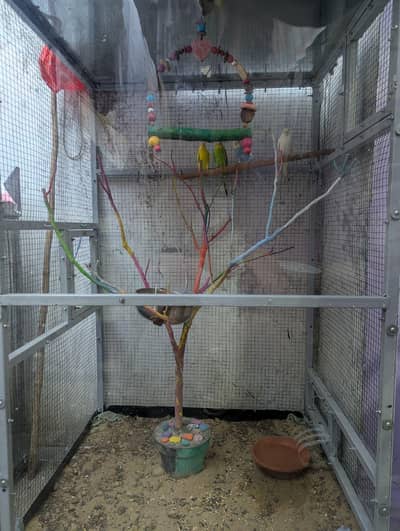 cage for sale glass cage