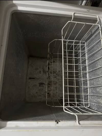 Waves fridge