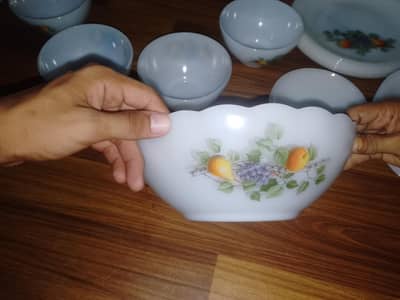Nashpati Dinner set