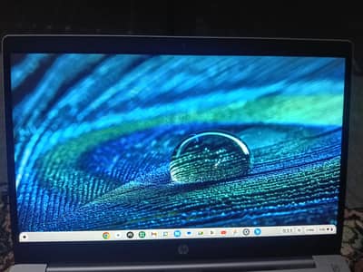 HP Pro c640 Chromebook  Core i7 10 Gen  16GB Ram