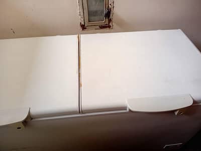 double door freezer