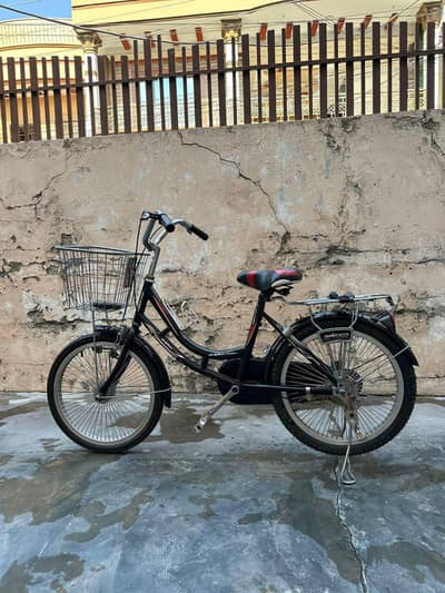 Dolphin river smooth bicycle for sale