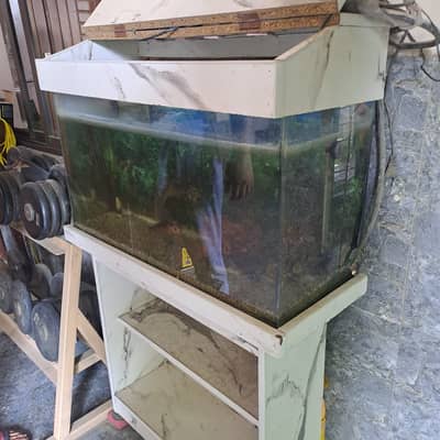 Aquariums & Fish Tanks