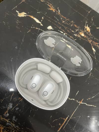 Earphones