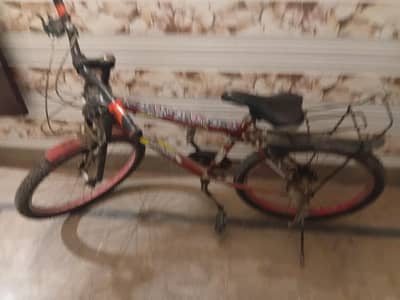 PHOENIX BICYCLE