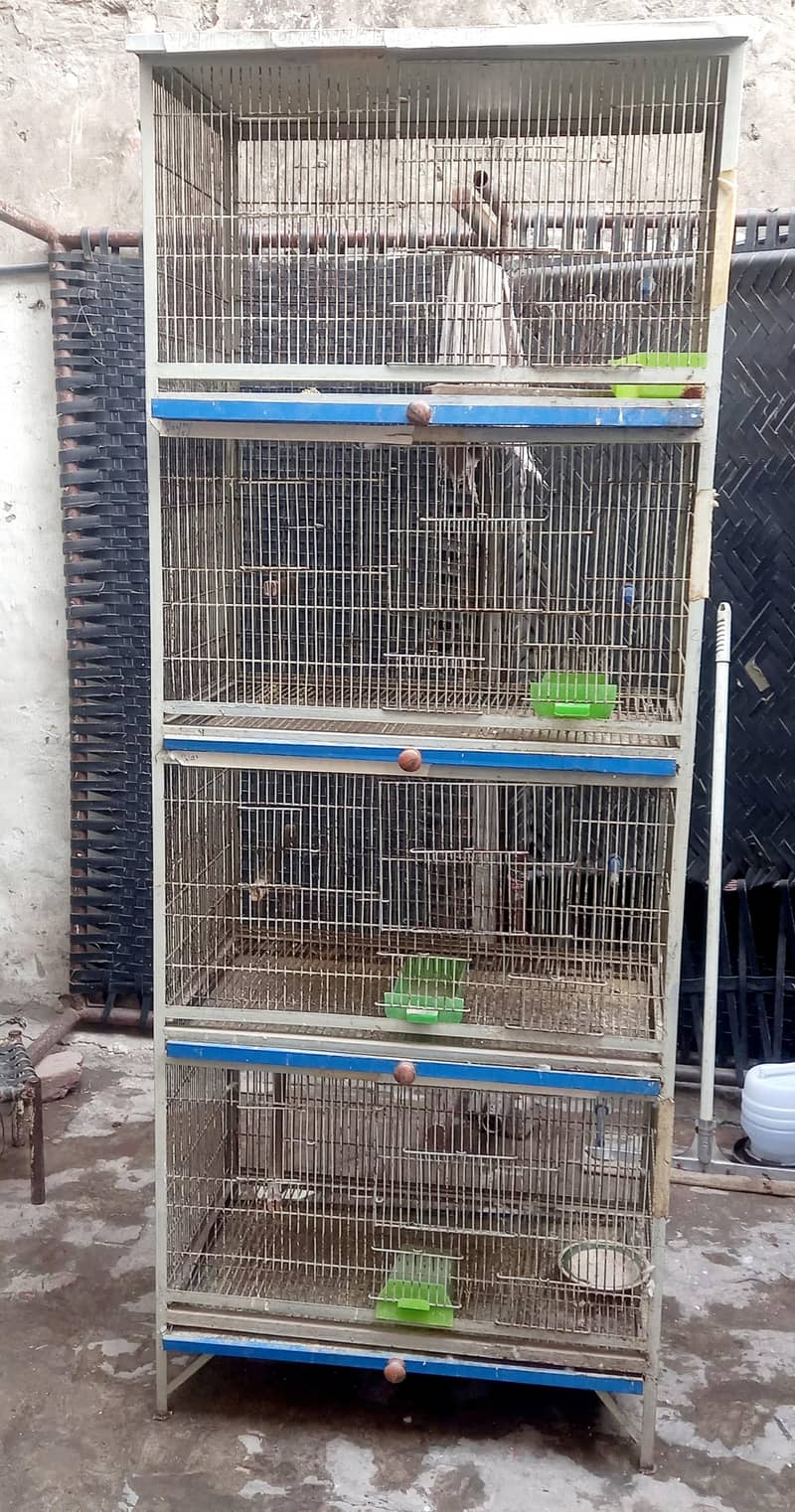 4 portion cage 1