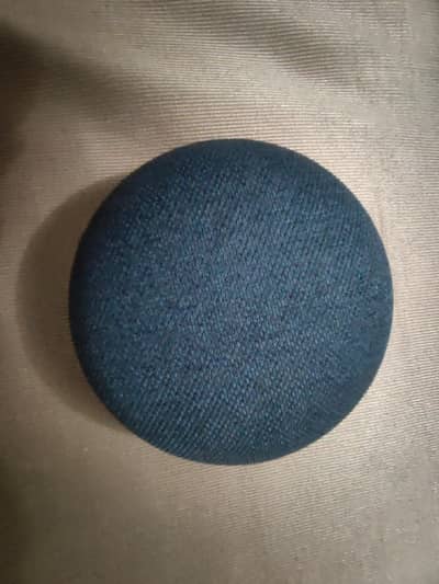 google home nest mini 1 gen