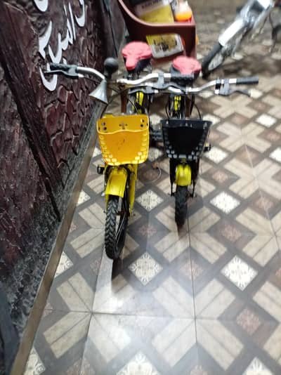 2 kids bicycles