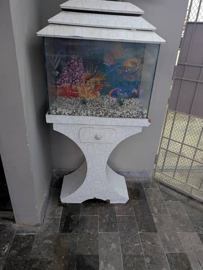 2ft Fish Aquarium