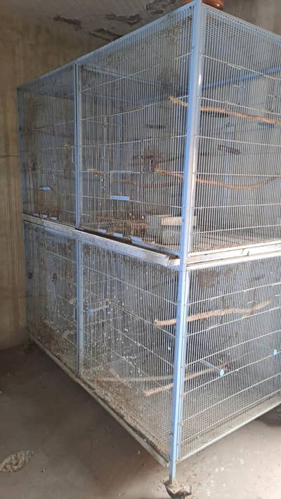 cage size 3×3 feet 4 portion Folding cage