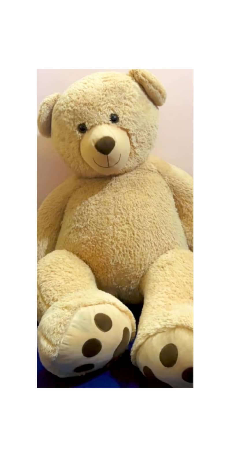Full Size Bear 0