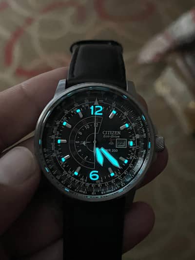 Citizen eco-drive ProMaster  original