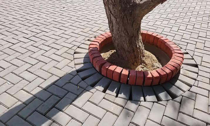 Pavour blocks 1