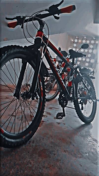 XinFlin mtb mountain bike