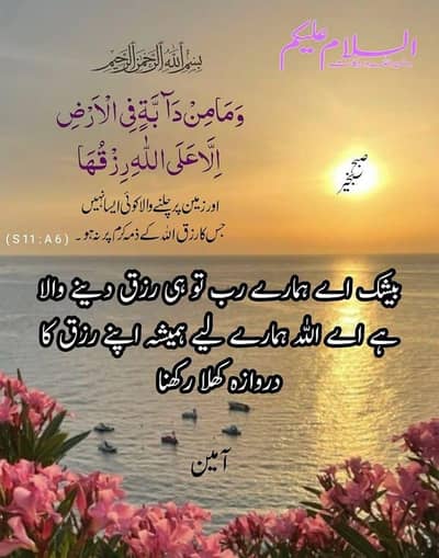 lady Dr required fresh ho secan ata ho Gyne ka relx dutii pmdc clear h