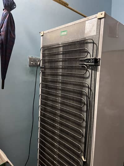 LG 6ft Refrigerator