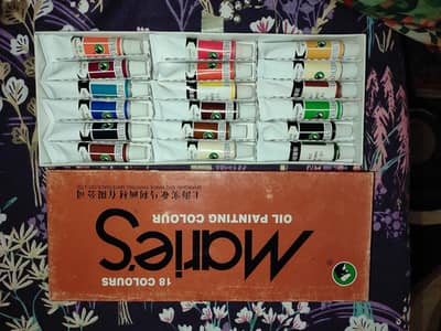 Marie's oil paints and oil pastel