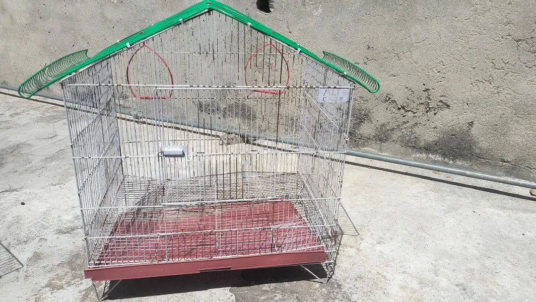 Bird Cage for sale