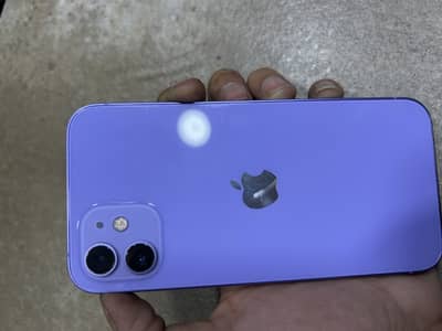 Apple iPhone 12