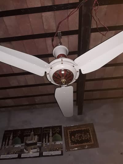 MR FANS