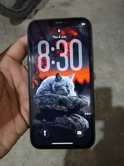 Apple iPhone 11