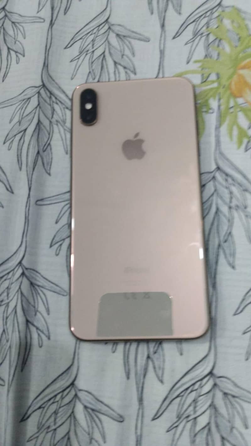 xs Max 2