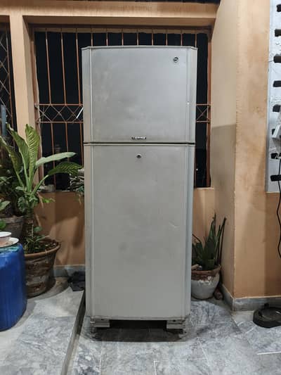 Full Size PEL Fridge Sell Urgent All Ok