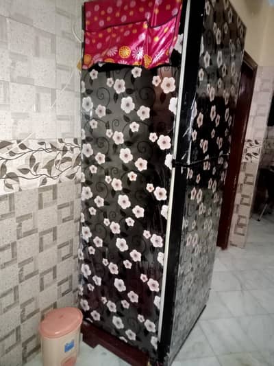 PEL brand freezer full big size