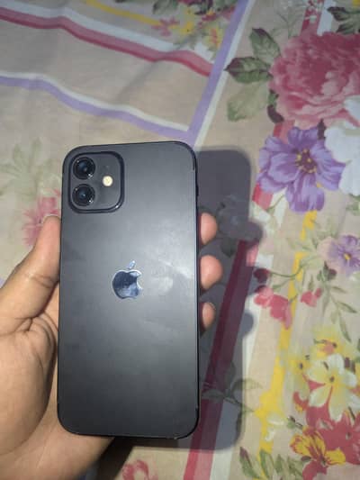 Apple iPhone 12