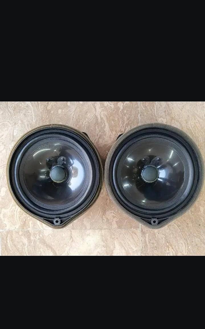 vezel 1