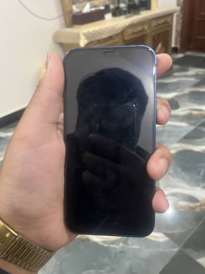 Apple iPhone 12