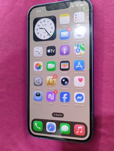 Apple iPhone 13