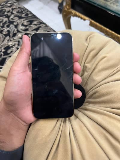 Apple iPhone 12 Pro