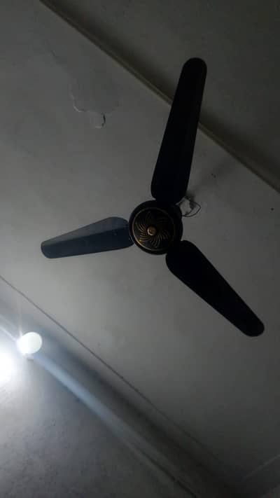 ac dc  fan ha