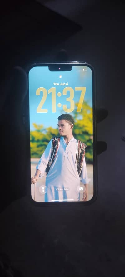 Apple iPhone 13 Pro Max