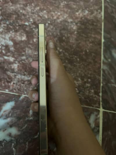 Vivo V23