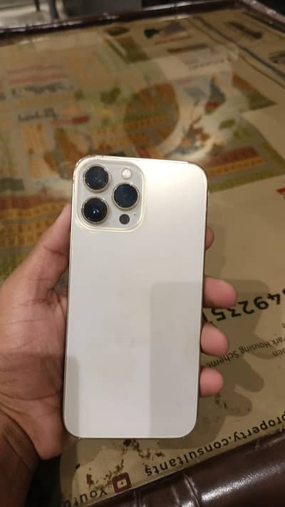 Apple iPhone 13 Pro Max