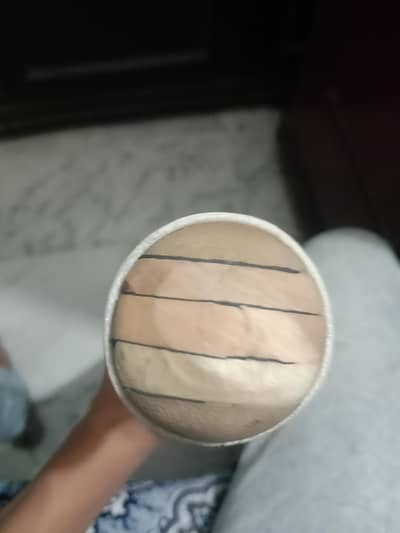 hardball cricket bat